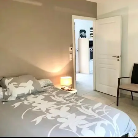 Apartment T2 Lumineux, Proche Centre En Rdc, Tres Bien Equipe Avec Terrasse